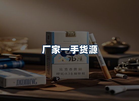 专业团队办公环境